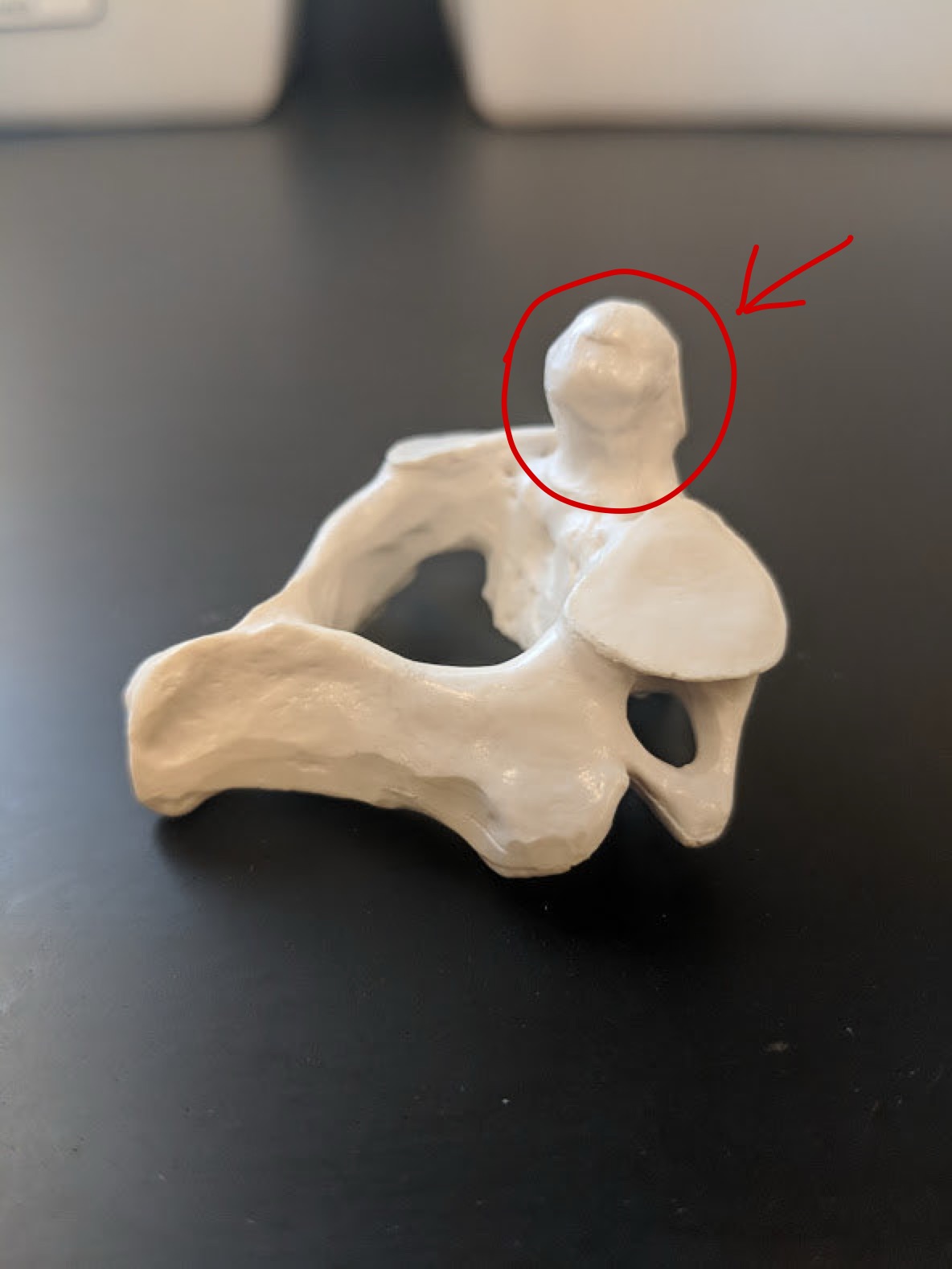 <p>Name this structure</p>