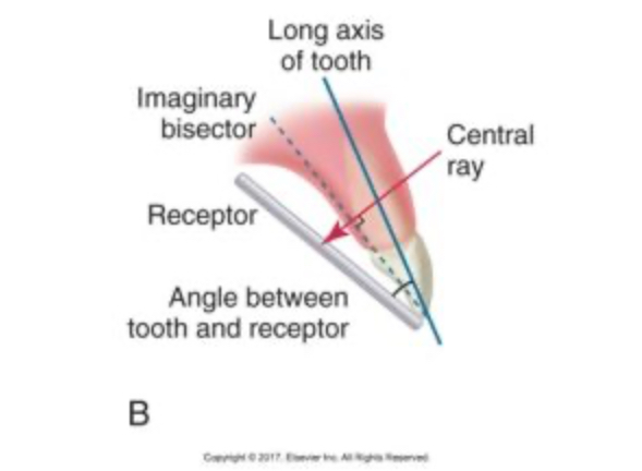 <p>bisecting technique</p>