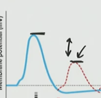 <p>whats causing this height difference?</p>