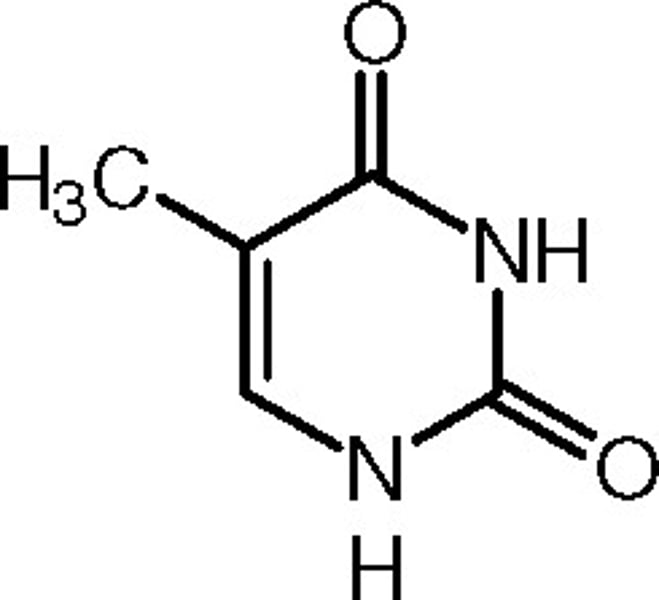 <p>a compound that is one of the four constituent bases of nucleic acids. A pyrimidine derivative, it is paired with adenine in double-stranded DNA.</p>