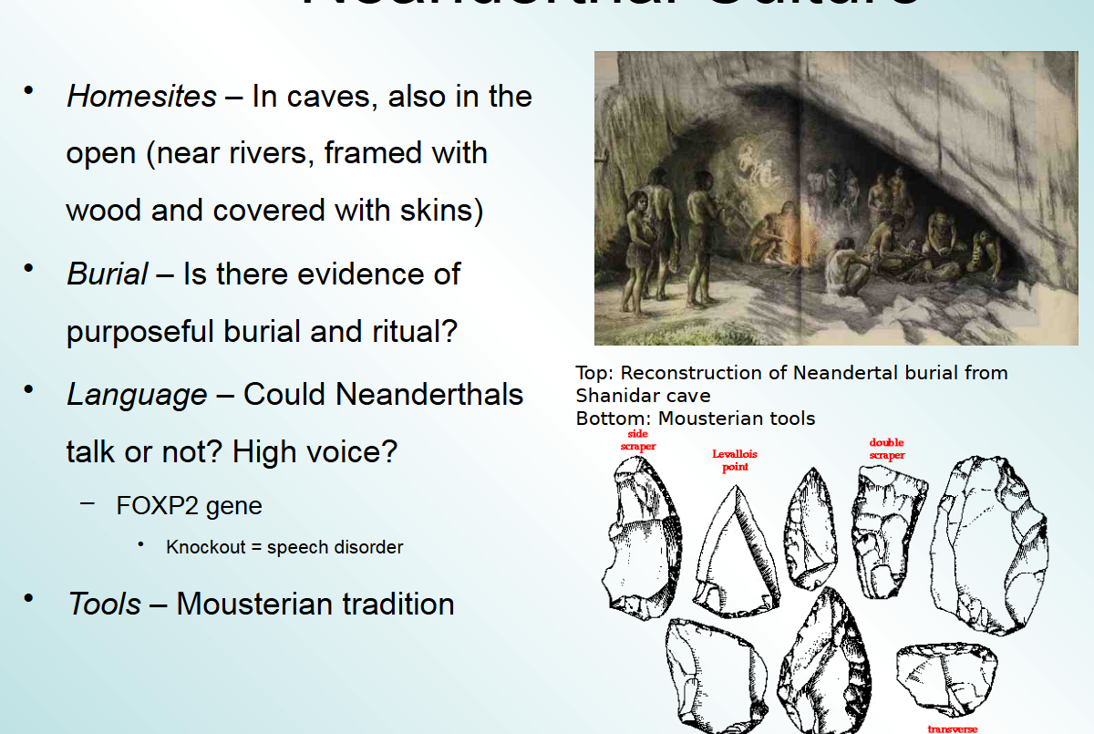 <p>In caves, also in the open (near rivers, framed with wood and covered with skins)</p>