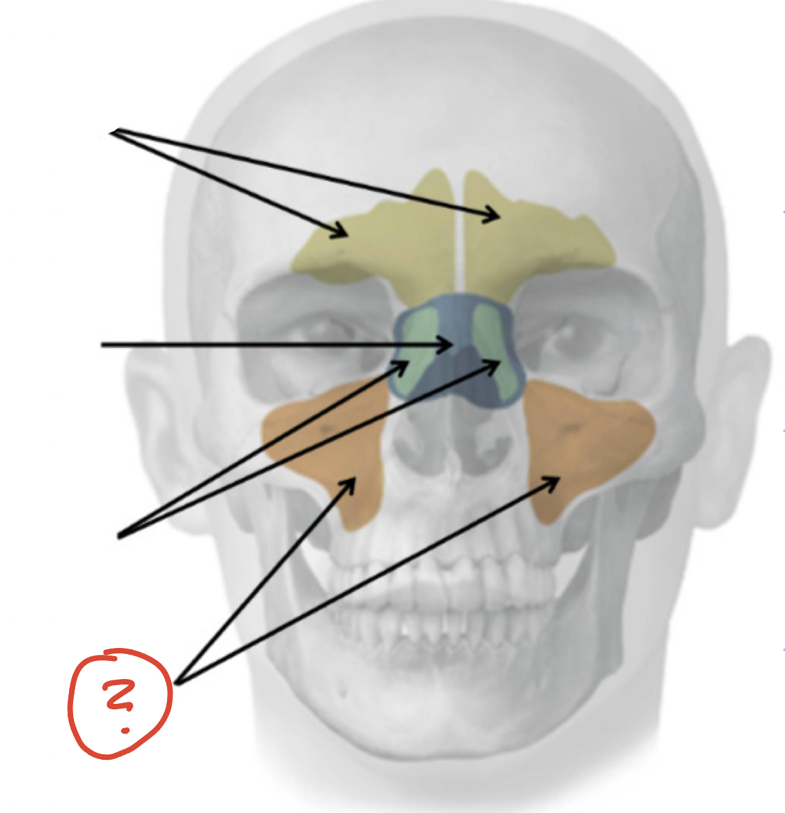 term image