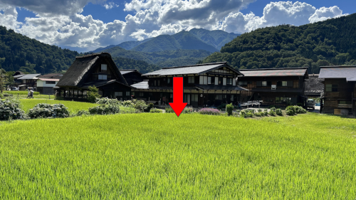 <p>(n. phrase) <em>a field planted with rice growing in water</em></p><p>“The farmer has a big _______ behind his house.”</p>
