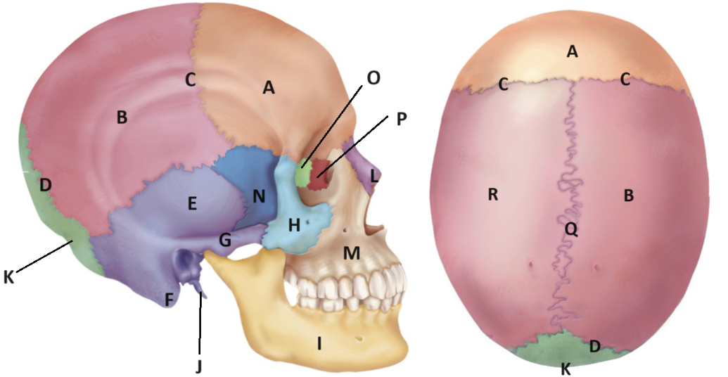 <p>J</p>