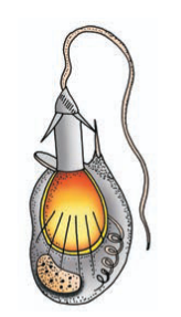 <p>What is this structure</p>