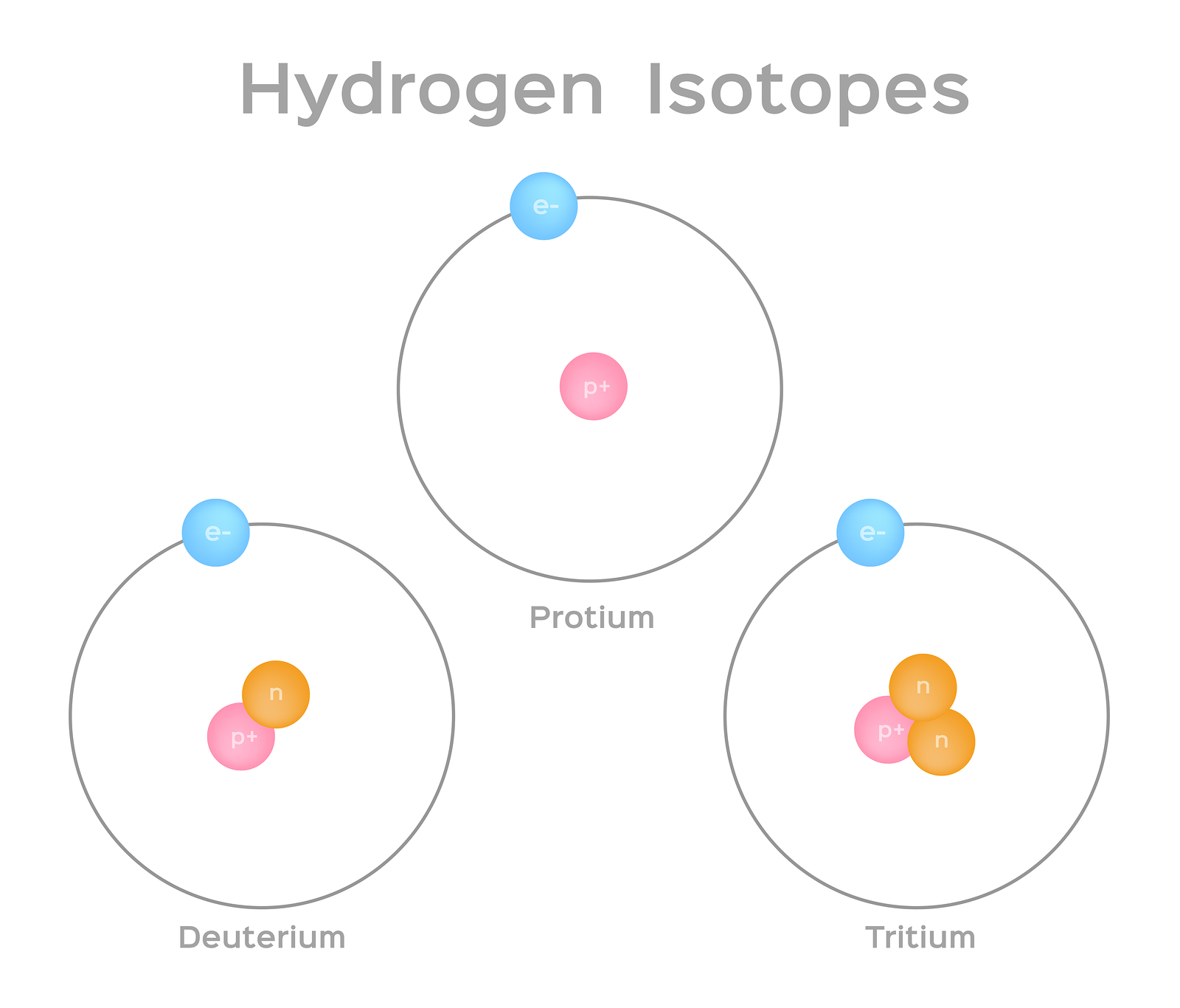 <p>atom/group atoms with the same atomic number (#of protons) but with different numbers of neutrons</p>