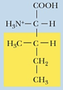 <p>Name (Abbr.) - polarity, a/n/b</p>