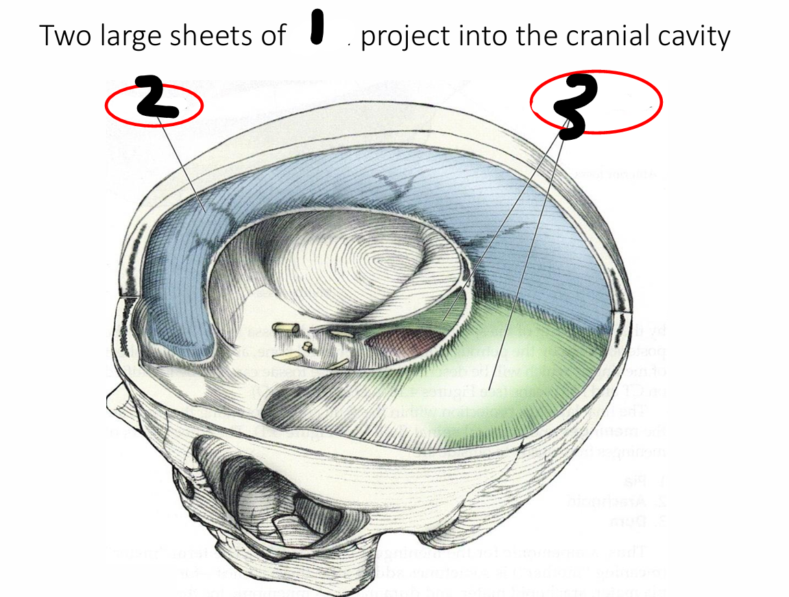<p>name all </p>