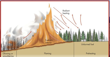 Flaming combustion is the rapid, high temperature conversion of fuel into heat.

\
It is characterized by flames and large amounts of unburned material.

\
Smouldering combustion occurs in areas with burned material and ash that covers new fuel. 