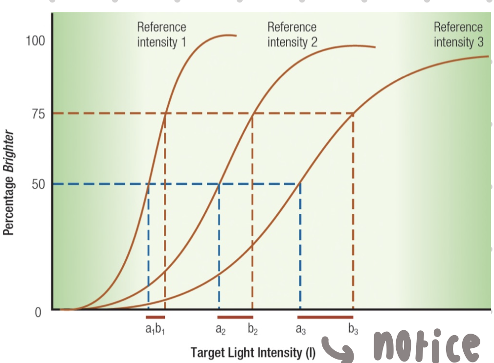 <ul><li><p>Weber’s law: ΔI = K’</p></li><li><p>ΔI is a const. proportion (k) of stimulus intensity (I)</p></li><li><p>Weber’s fraction, k, must be experimentally determined</p></li><li><p>in graph → notice w/ increasing standard light intensity func get flatter</p><ul><li><p>there is also increase in thresh w/ intensity (need a lil light to notice diff at low intensities)</p></li></ul></li></ul>