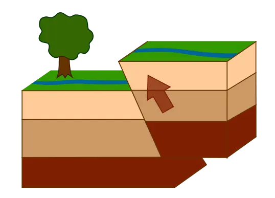 <p>Compression, convergent plate boundary</p>