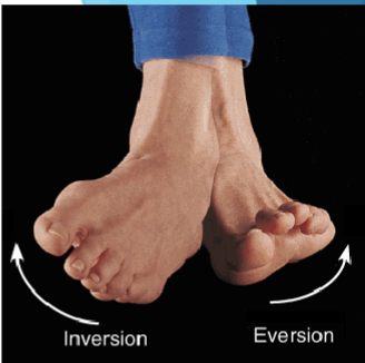 <p>Turning sole of foot outward</p>