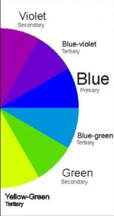 <p>Green, Blue, Purple (Yellow-Green, Blue-Green, Blue Violet, Red-Violet)</p>