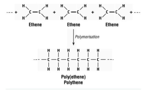 <p>what is the monomer and polymer in this reaction?</p>
