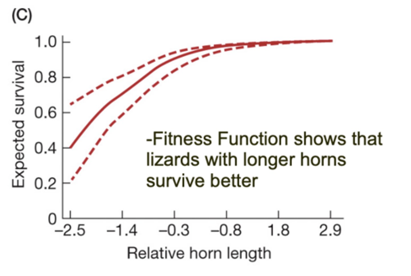 <p>A graph showing how survival or reproductive success changes with a trait.</p>