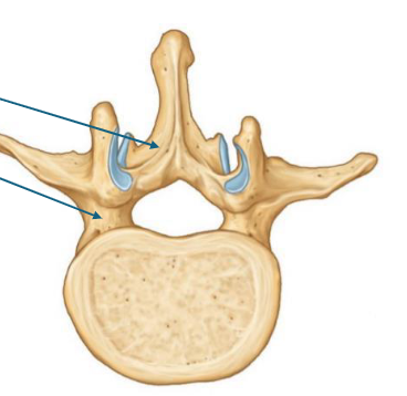 <p>top to bottom </p>