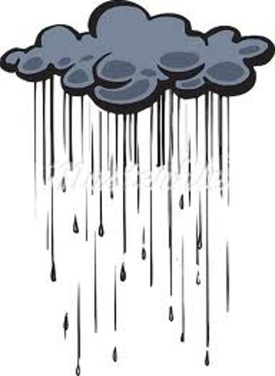 <p>the rain</p>