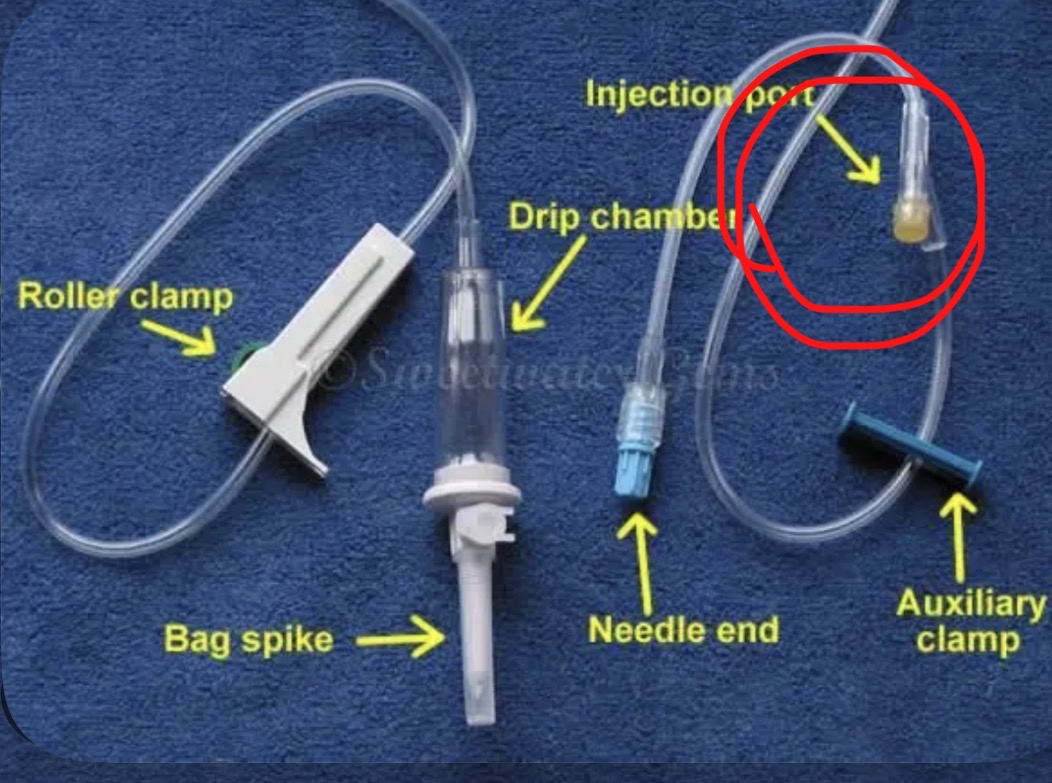 <p>injection port (on primary set)</p>