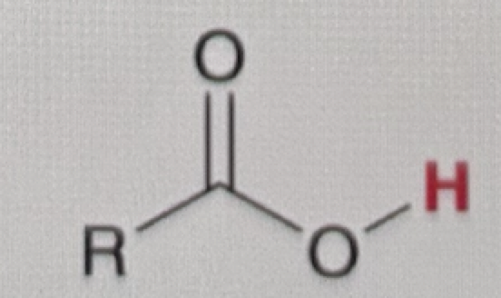 <p>carboxylic acid </p>