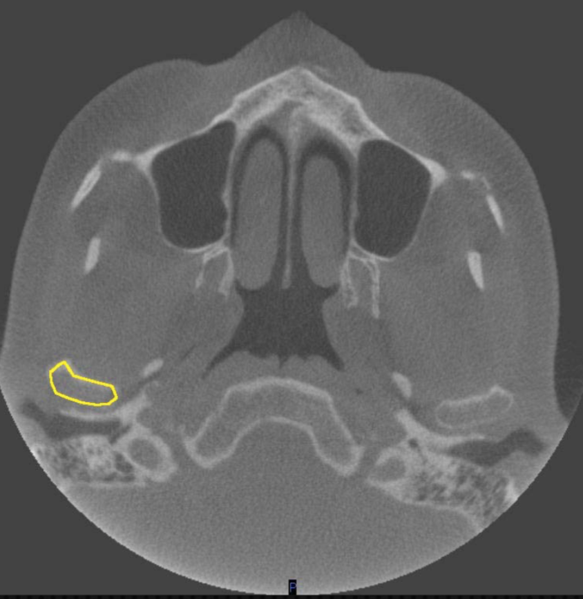 <p>what structure is this </p>