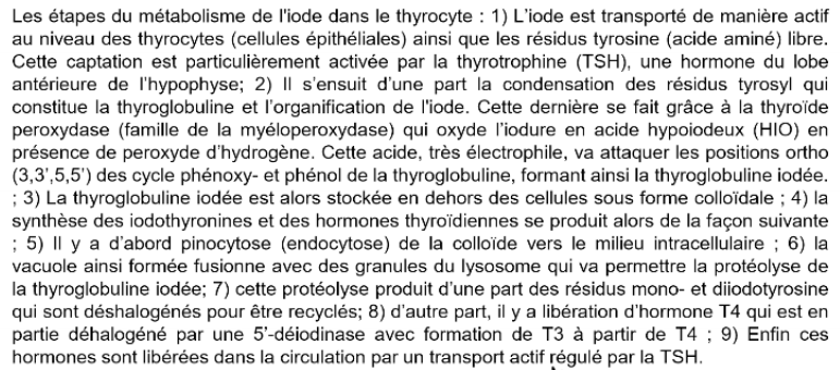 <p>rôle: entre dans la composition des hormones thyroïdiennes dont le rôle le plus connu est la croissance osseuse et musculaire</p><p>métabolisme de l’iode dans le thyrocyte:</p>