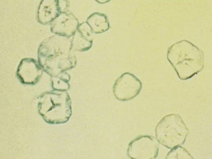 <p>What is this?</p>