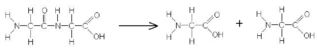 This reaction is an example of…