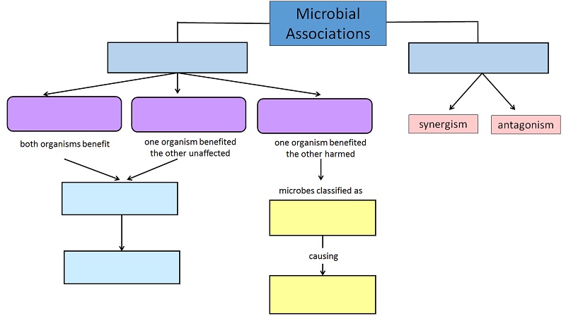 Drag and drop the labels into the correct empty boxes to complete the concept map.