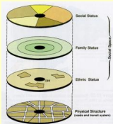<ul><li><p>Defined by income, education, occupation, and home value.</p></li><li><p>Patterns of social status agree with the sector model.</p></li><li><p>Persons per room is a good indicator of social status.</p></li><li><p>Social status divisions are often perpetrated by political boundaries.</p></li></ul><p></p>