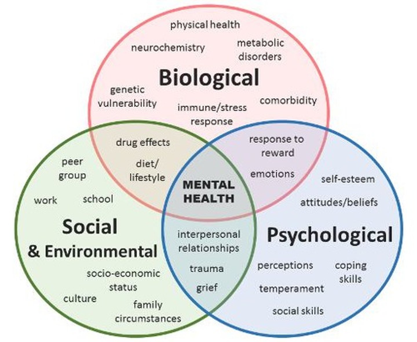 <p>A model which describes the different factors which contribute to mental health including</p><p>- biological factors</p><p>- social and environmental factors</p><p>- psychological factors</p>