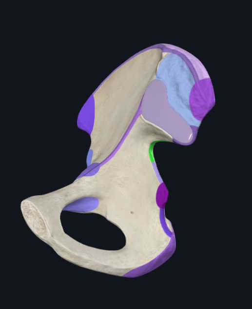 <p>What is highlighted green</p>