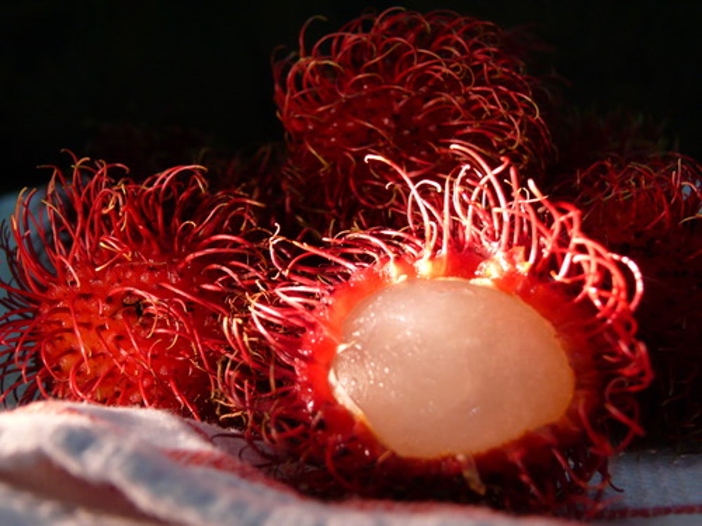 <p>Rambutan</p>