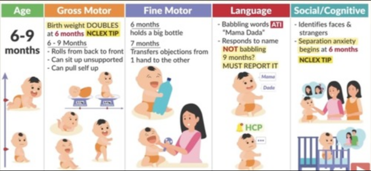 <ul><li><p style="text-align: left">uses <strong>consonant</strong> sounds (dada)</p></li><li><p style="text-align: left"><strong>babbles</strong> for attention</p></li><li><p style="text-align: left">takes cereal from spoon</p></li><li><p style="text-align: left">holds large bottle (attempts feed self)</p></li></ul><p></p>