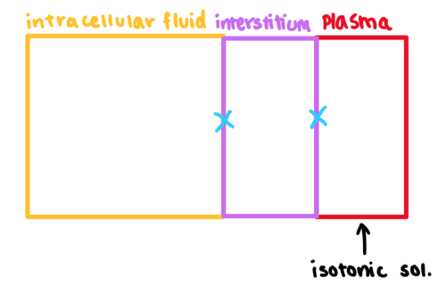 <p>- equal osmolality between fluids in the body</p><p>- no net fluid change, therefore normal plasma volume</p>