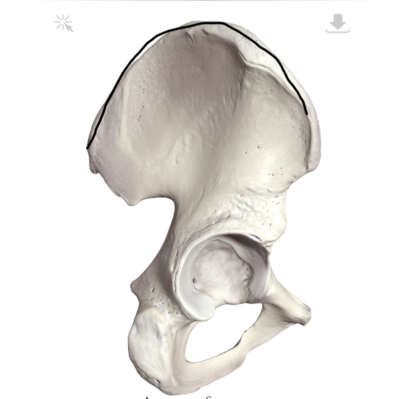 <p>Hoe heet dit deel?</p>