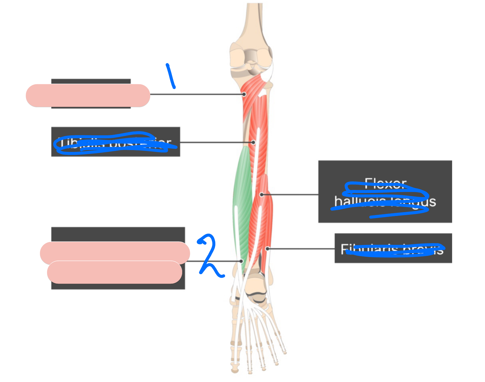 <p>1</p>
