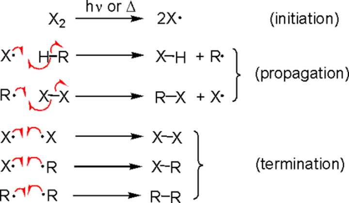 <p>Initiation:<br>UV light breaks apart Cl2 molecules to form Cl radicals<br>Propogation:<br>The Cl radicals are extremely reactive and react with the methane.<br>Termination:<br>If two radicals react to form a stable compound, it's a termination reaction<br><br>This can happen with halogens other than Cl2 (x in diagram) or methane (R in diagram)</p>