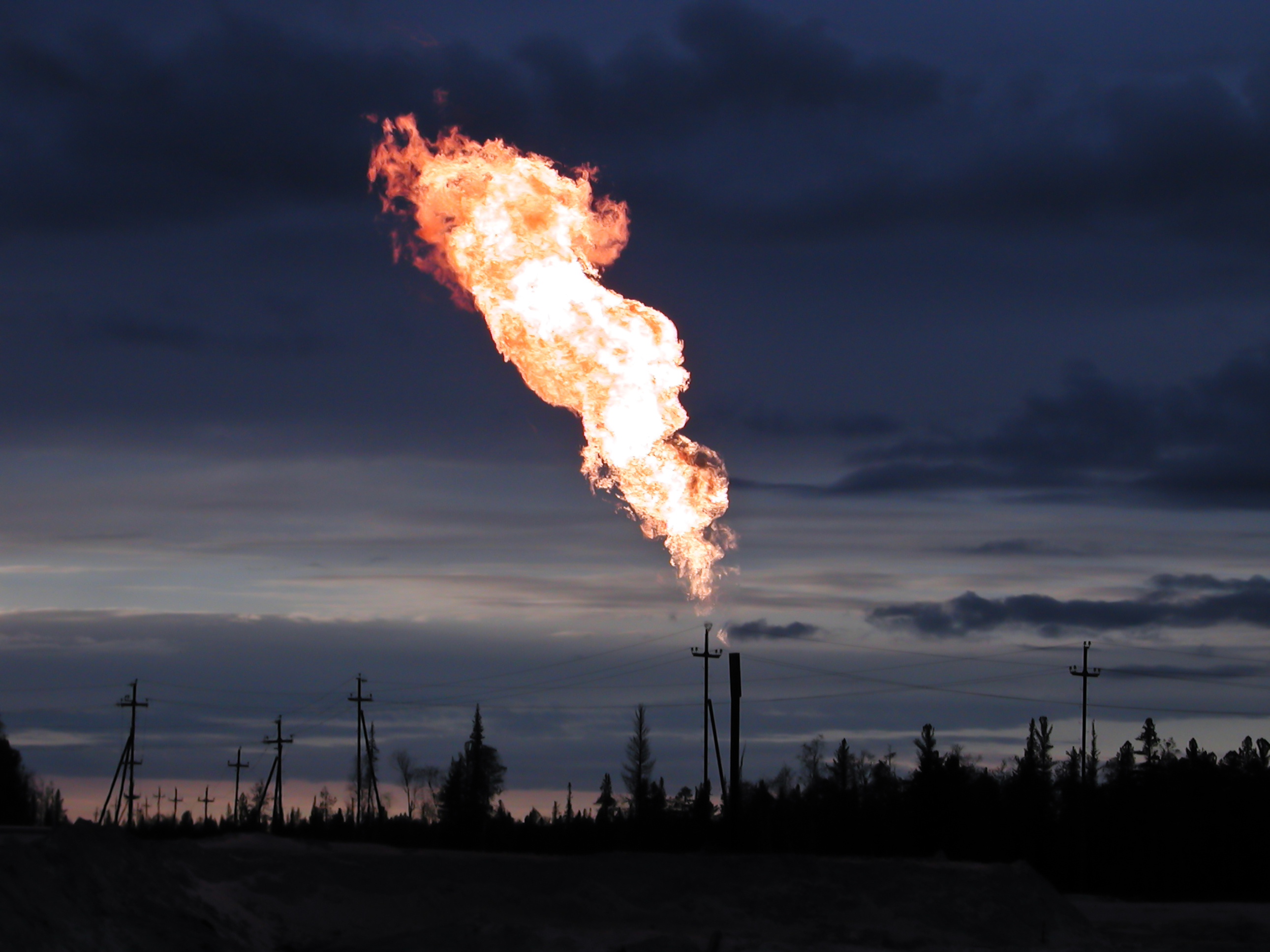 <p>(n) <span>something that emits (= sends out) </span>light<span>, a </span>noise<span>, or a </span>substance<span>, </span>especially<span> the </span>gas<span> carbon dioxide</span></p>