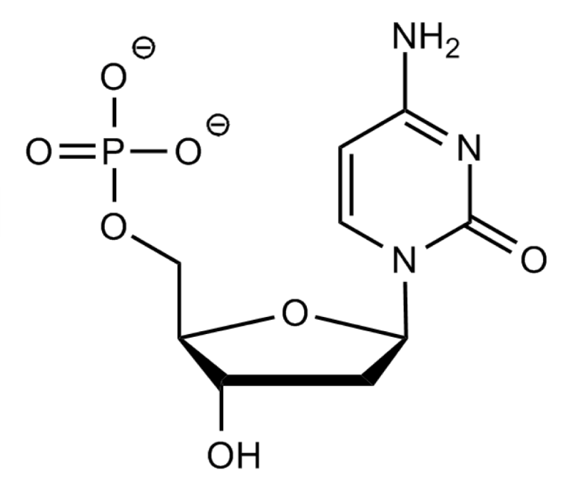 <p></p><p>Where is the glycosidic link?</p><p></p>