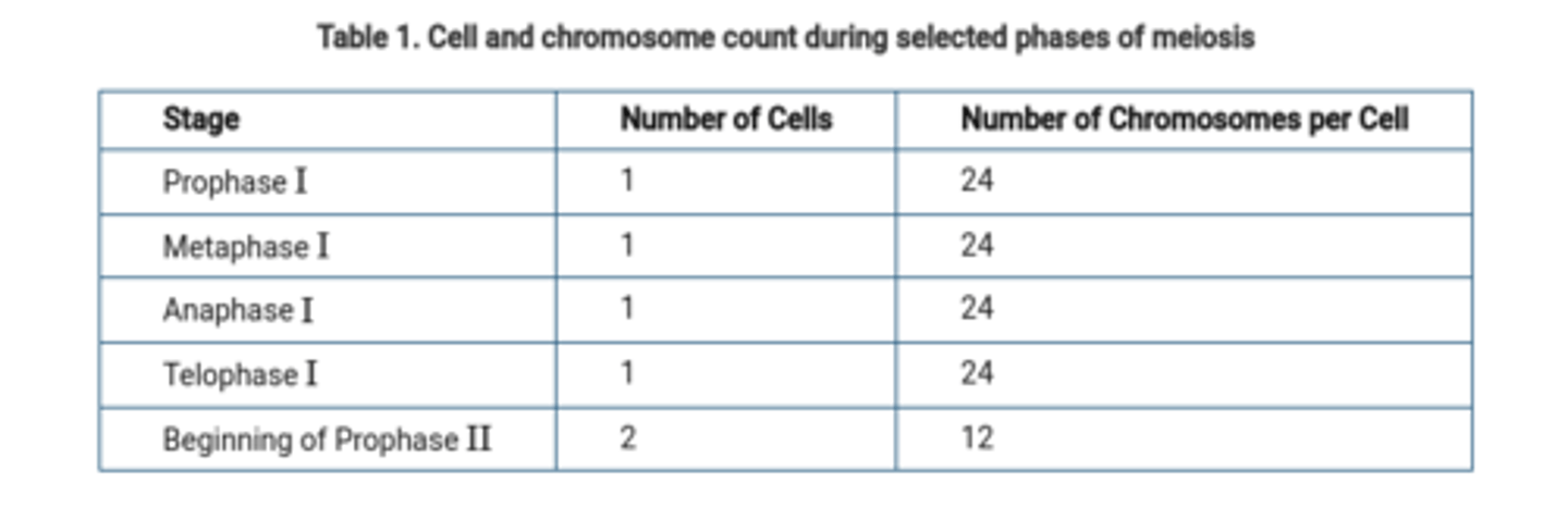 <p>C</p><p>Each daughter cell contains 12 chromosomes, each composed of two chromatids. Each chromosome is one of a pair of homologous chromosomes from the parent cell, with the other homologue found in the other daughter cell.</p>