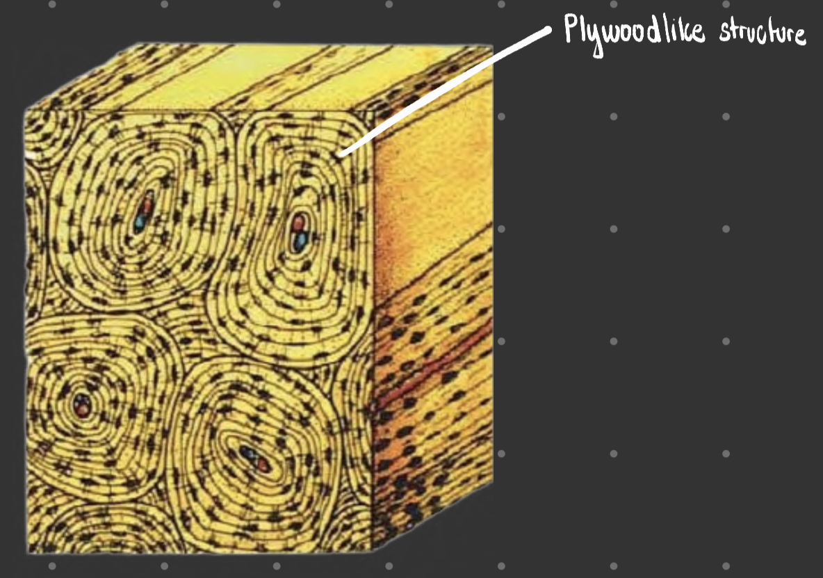 knowt flashcard image