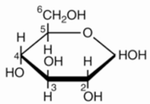 <p>Name that structure.</p>