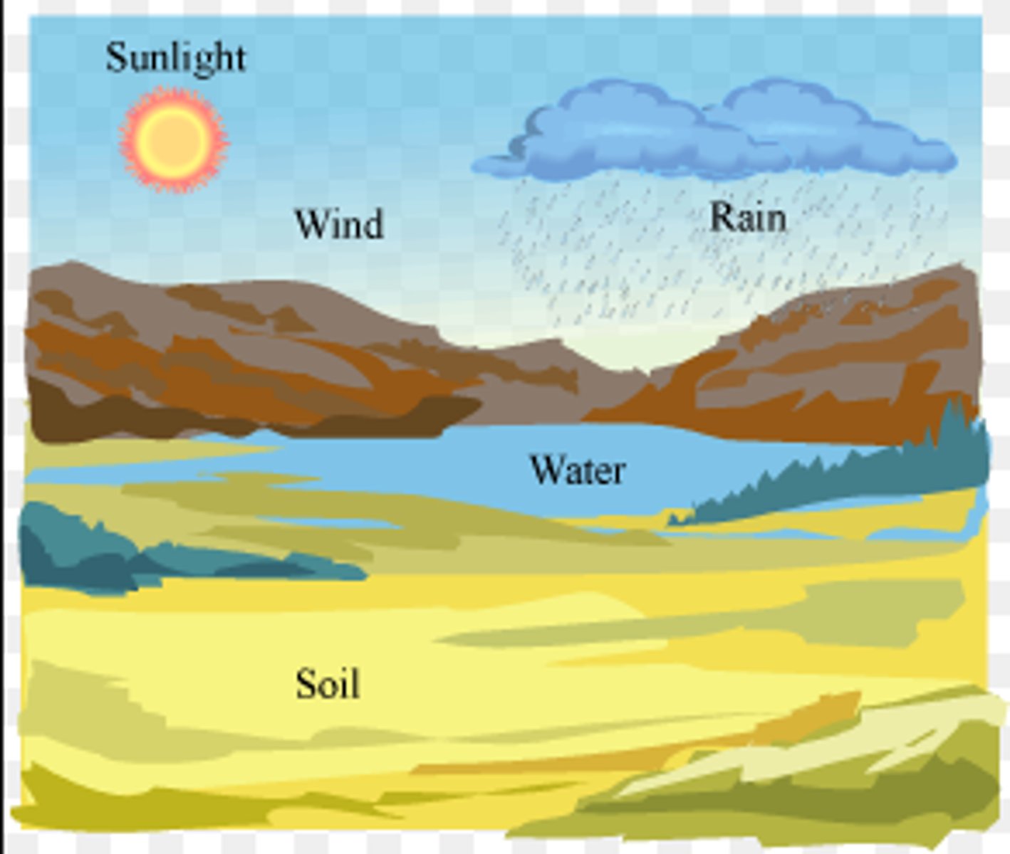 <p>sunlight water soil wind temperature</p>