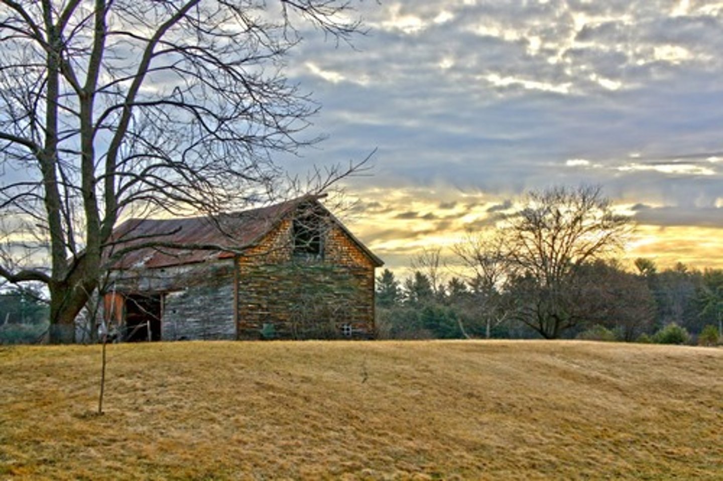 <p>barn</p>
