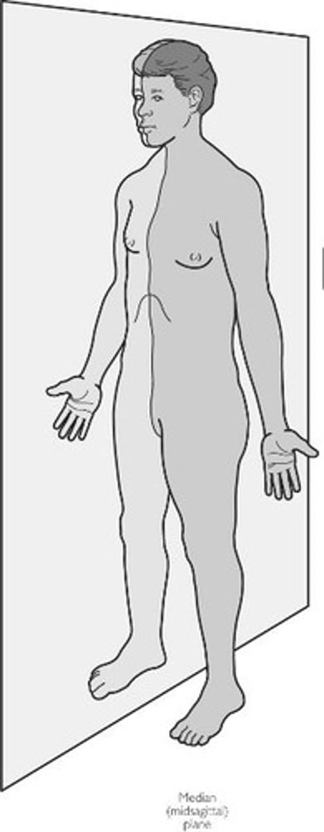 <p>a sagittal plane that courses through the entire anterior (front) and posterior (back) midlines of the body. it is parallel to other sagittal planes. The median plane is sometimes called the midsagittal plane.</p>