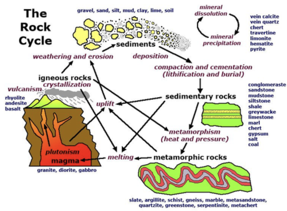 <p><span>The rock cycle is a series of processes </span><strong><em>that create and transform the types of rocks in Earth's</em></strong><span> crust.</span></p>