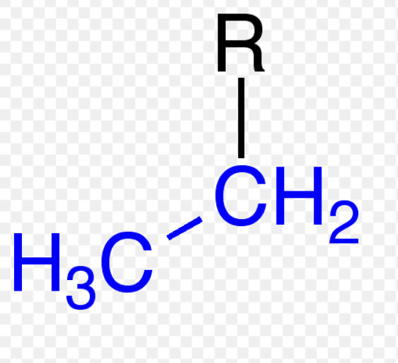 <p>alkyl group</p>
