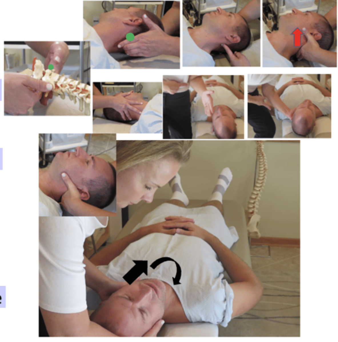 <p>• PP: Supine, permission to contact the neck, identify how you found the segment</p><p>• DP: Towards head of table, on side of contact, angled 45°-90° to the patient, tissue slack M-L</p><p>• CH: Proximal ventral surface of index of the hand corresponding to the side of segmental contact, on posterior aspect of ATLAS TP, thumb rests on cheek</p><p>• IH: #1-cradles patients head, supports contralateral occiput and upper cervical spine</p><p>• VEC: P-A with clockwise (or counterclockwise depending on the listing)</p>