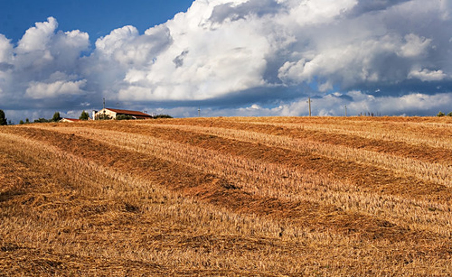 <p>earth, ground</p>
