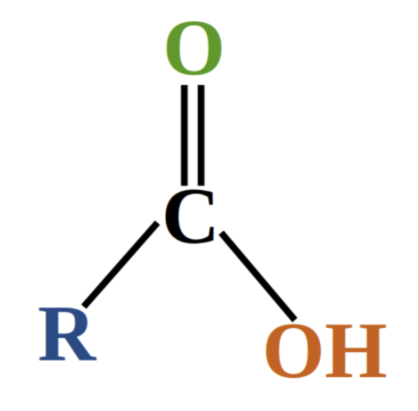 <p>organic compound containing a carboxyl (-COOH) functional group</p>